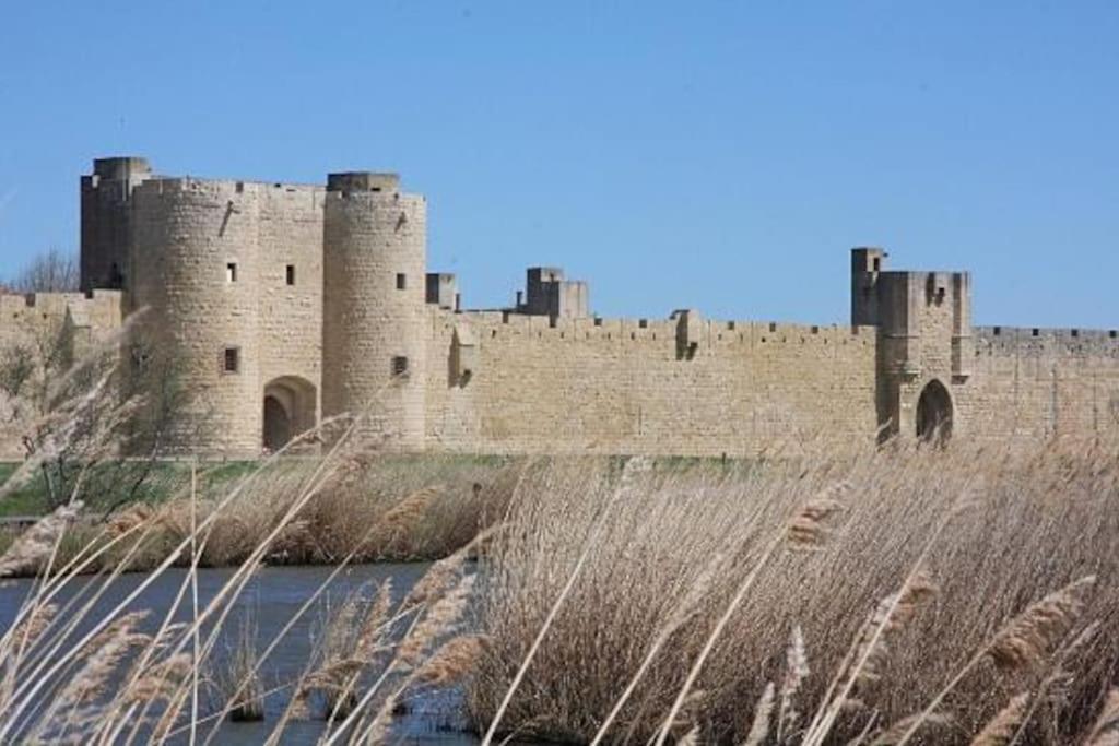 Chambre A 500 M Des Remparts Aigues-Mortes Zewnętrze zdjęcie